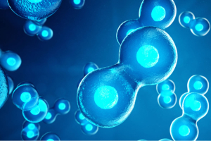 Congelamento de embri&otilde;es: como funciona e em que casos &eacute; recomendado?