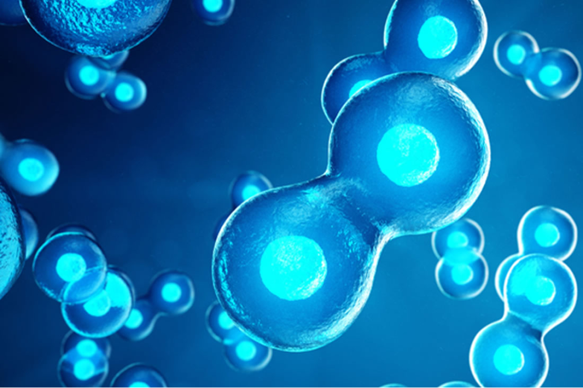 Congelamento de embri&otilde;es: como funciona e em que casos &eacute; recomendado?